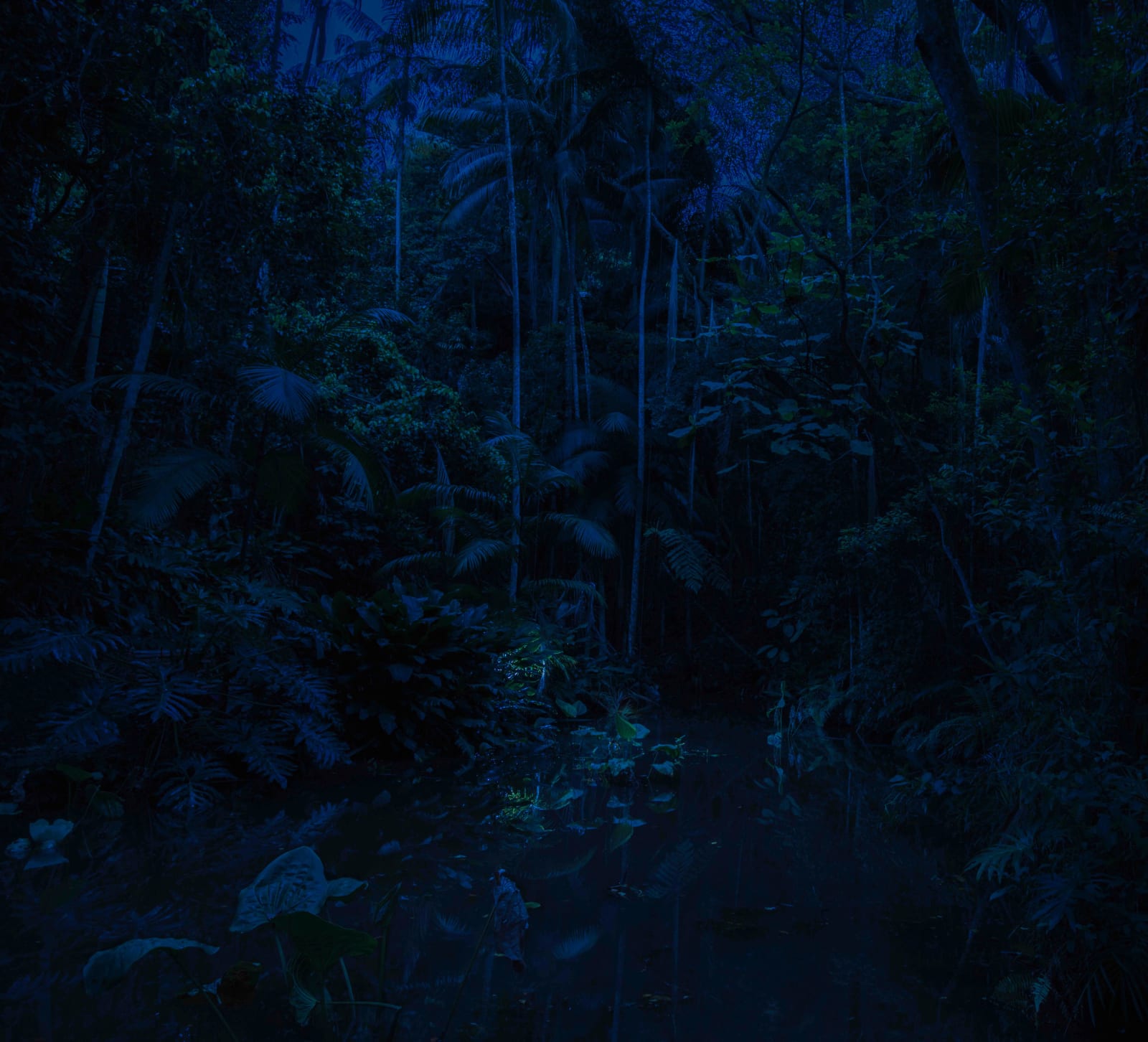 Maria Loboda, Day for night, 2014