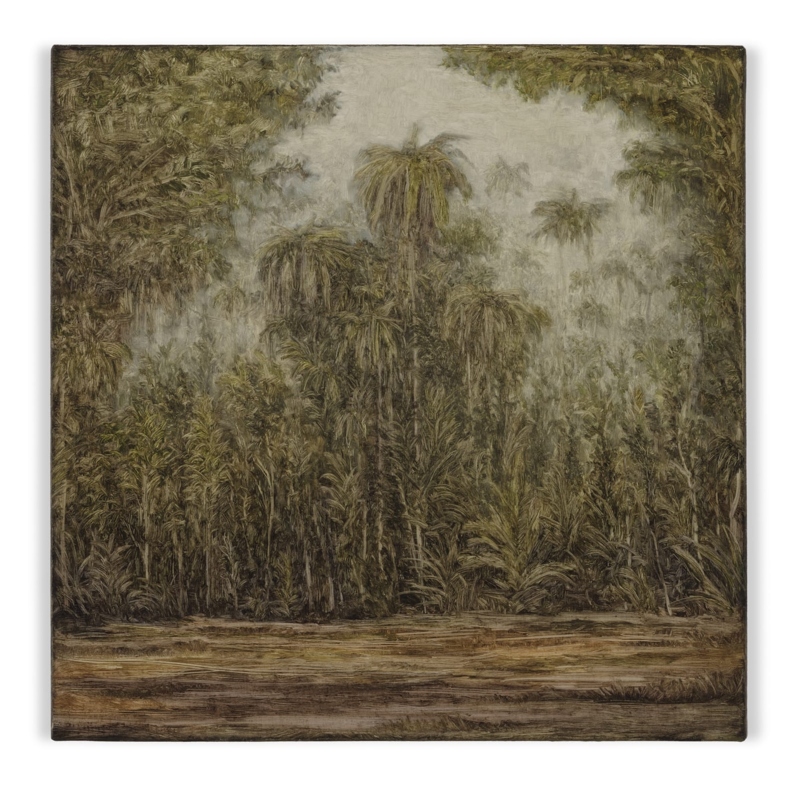 Lucas Arruda, Untitled (from the Deserto-Modelo series), 2020