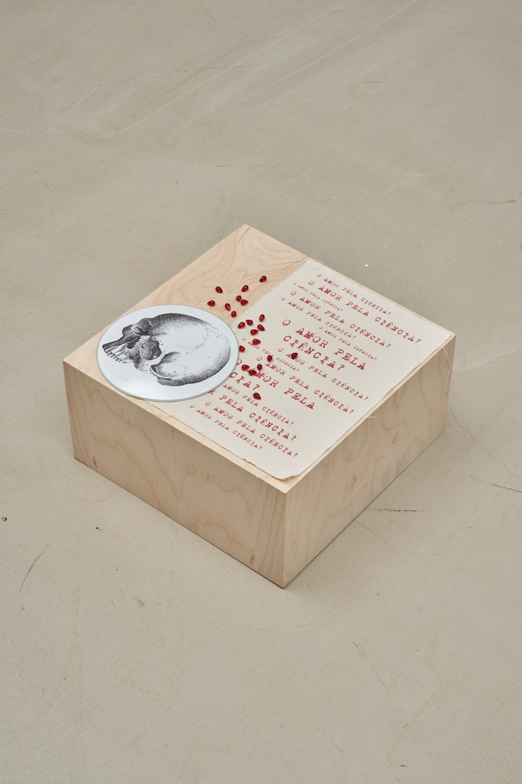 Rosana Paulino, Untitled | Sem Título, 2025