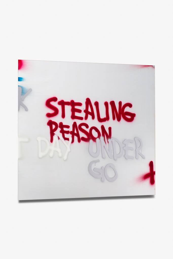 Stefan Bruggemann, Reason, 2013