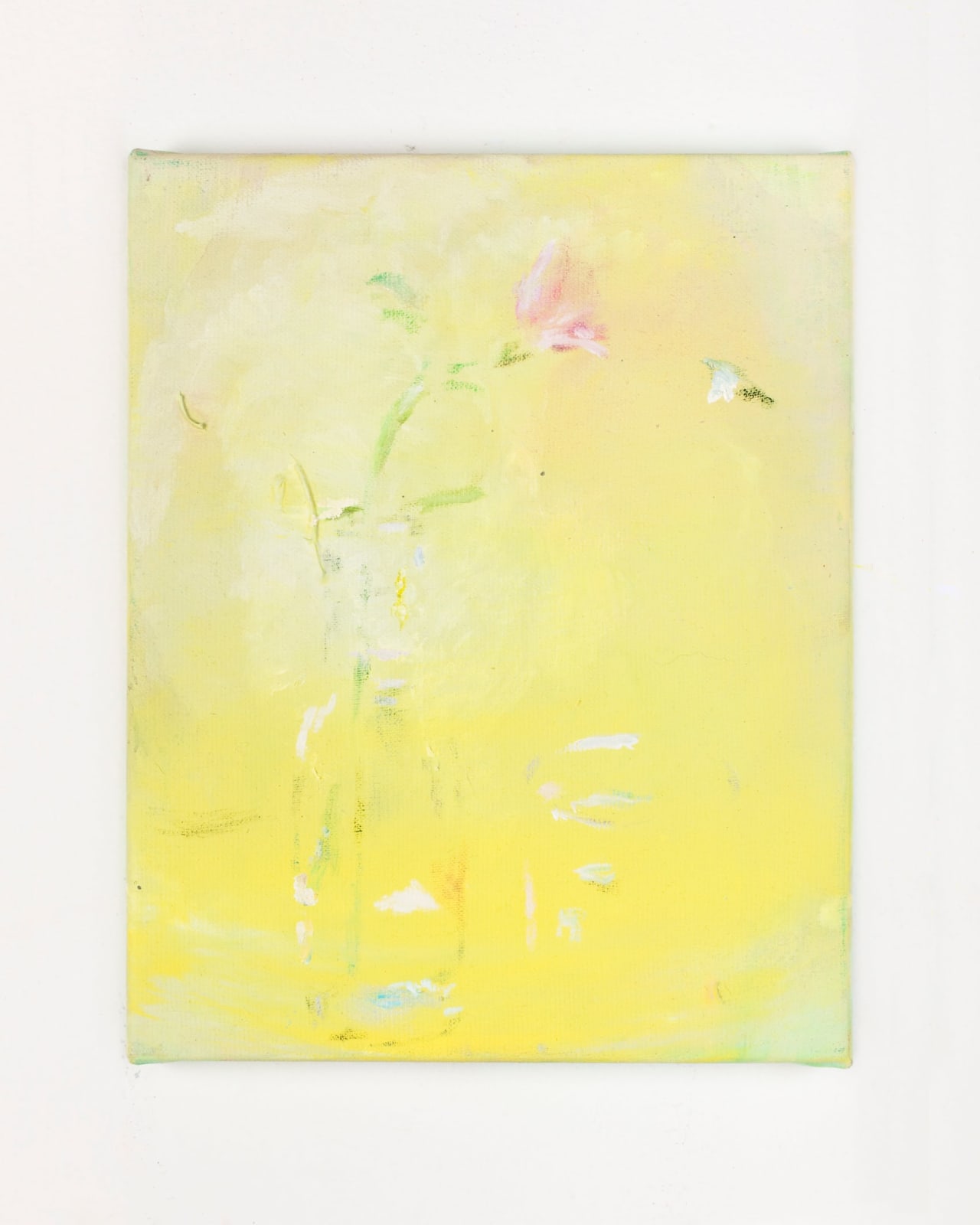 Maaike Schoorel, Geel stekje (Pelargonium), 2020
