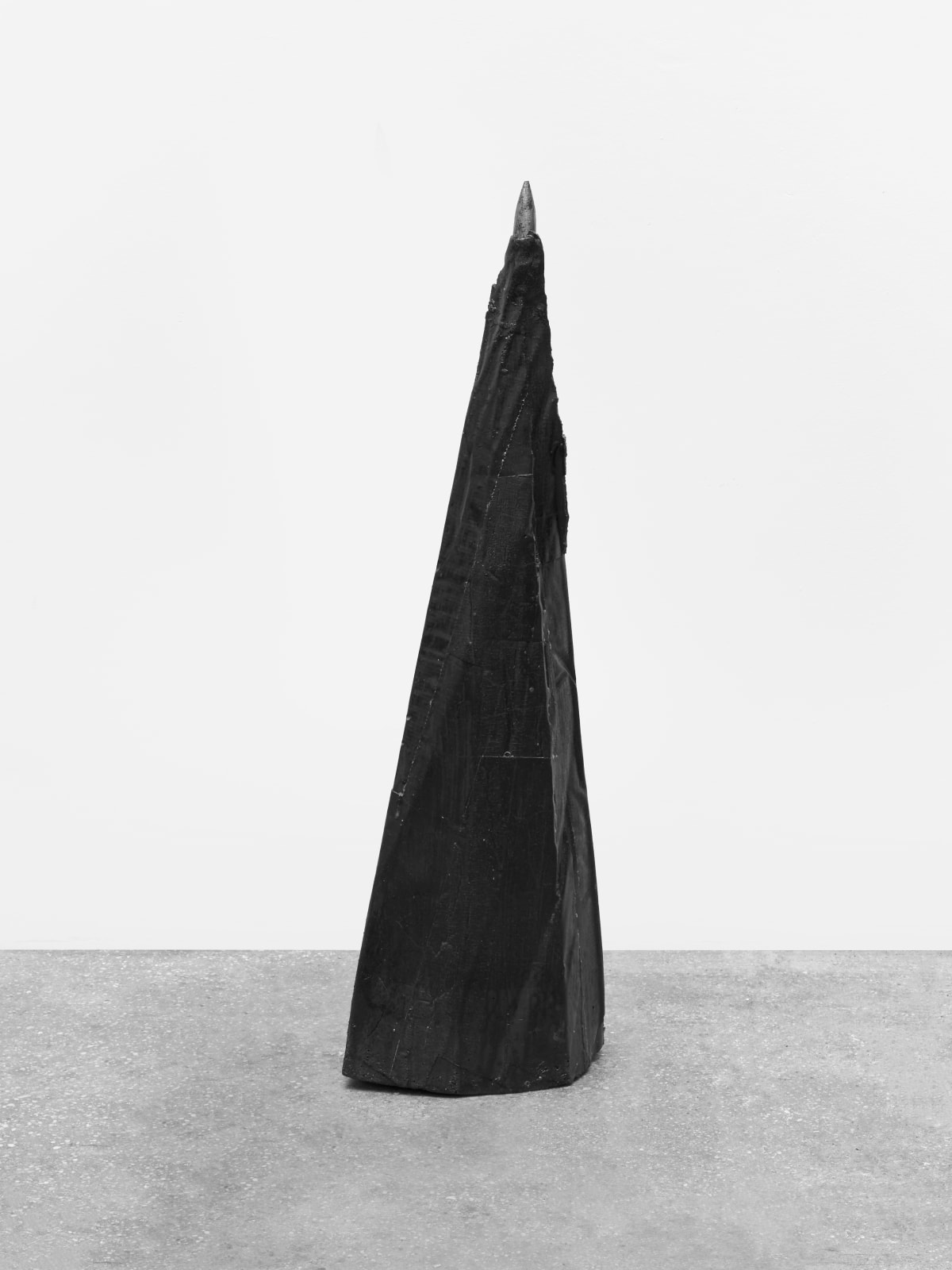 Patricia Ayres, 76.2°, 2025