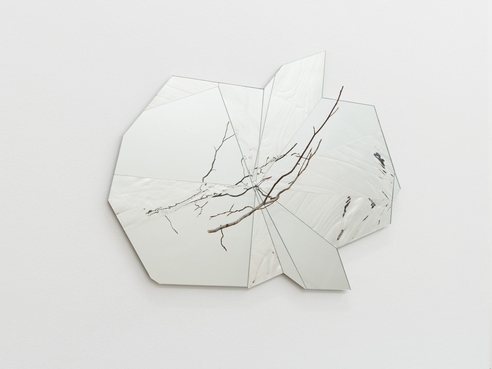 Daniel Steegmann Mangrané, Systemic Grid 127 (Mirror), 2021