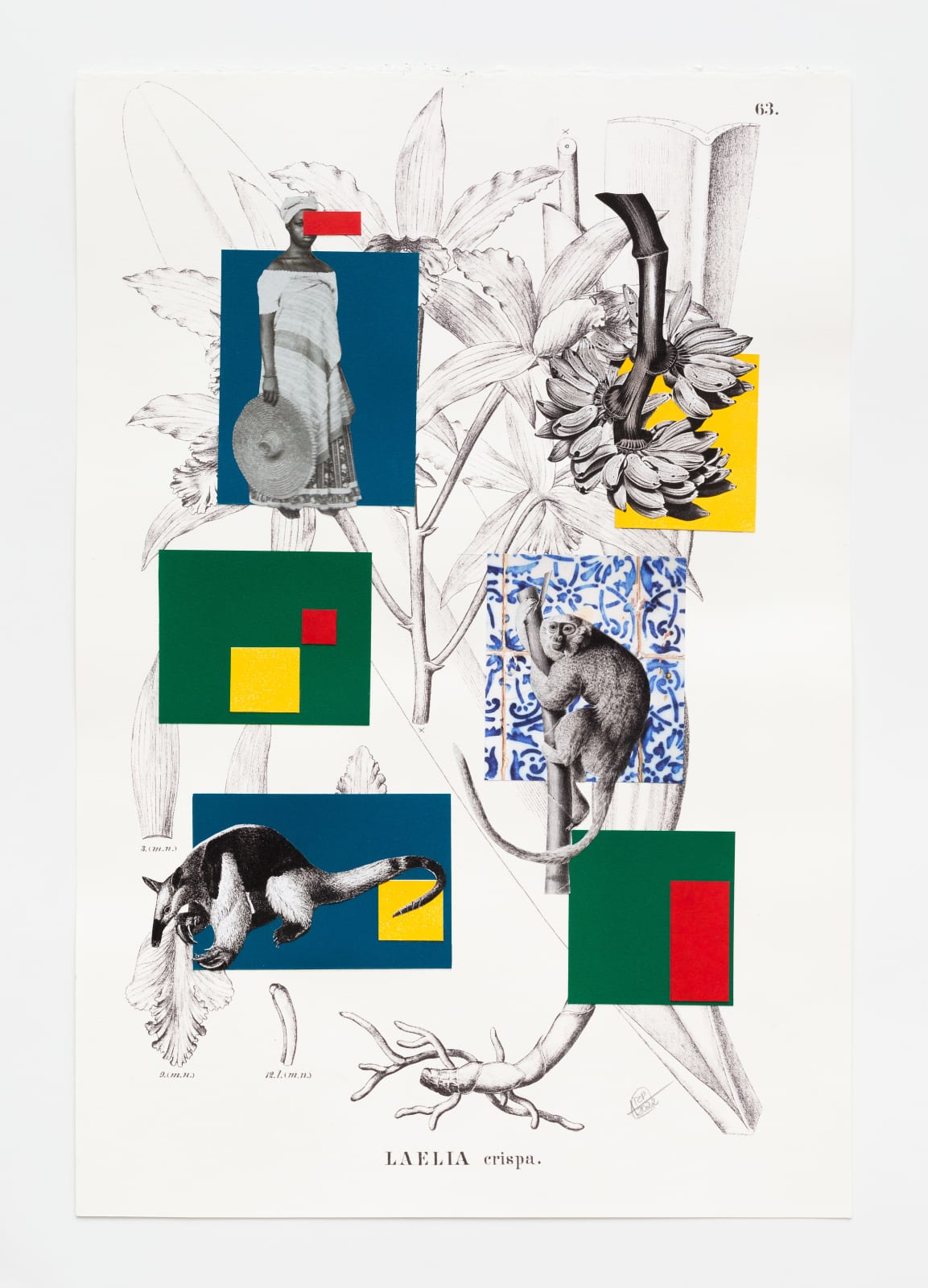 Rosana Paulino, A geometria à brasileira chega ao paraíso tropical, 2022