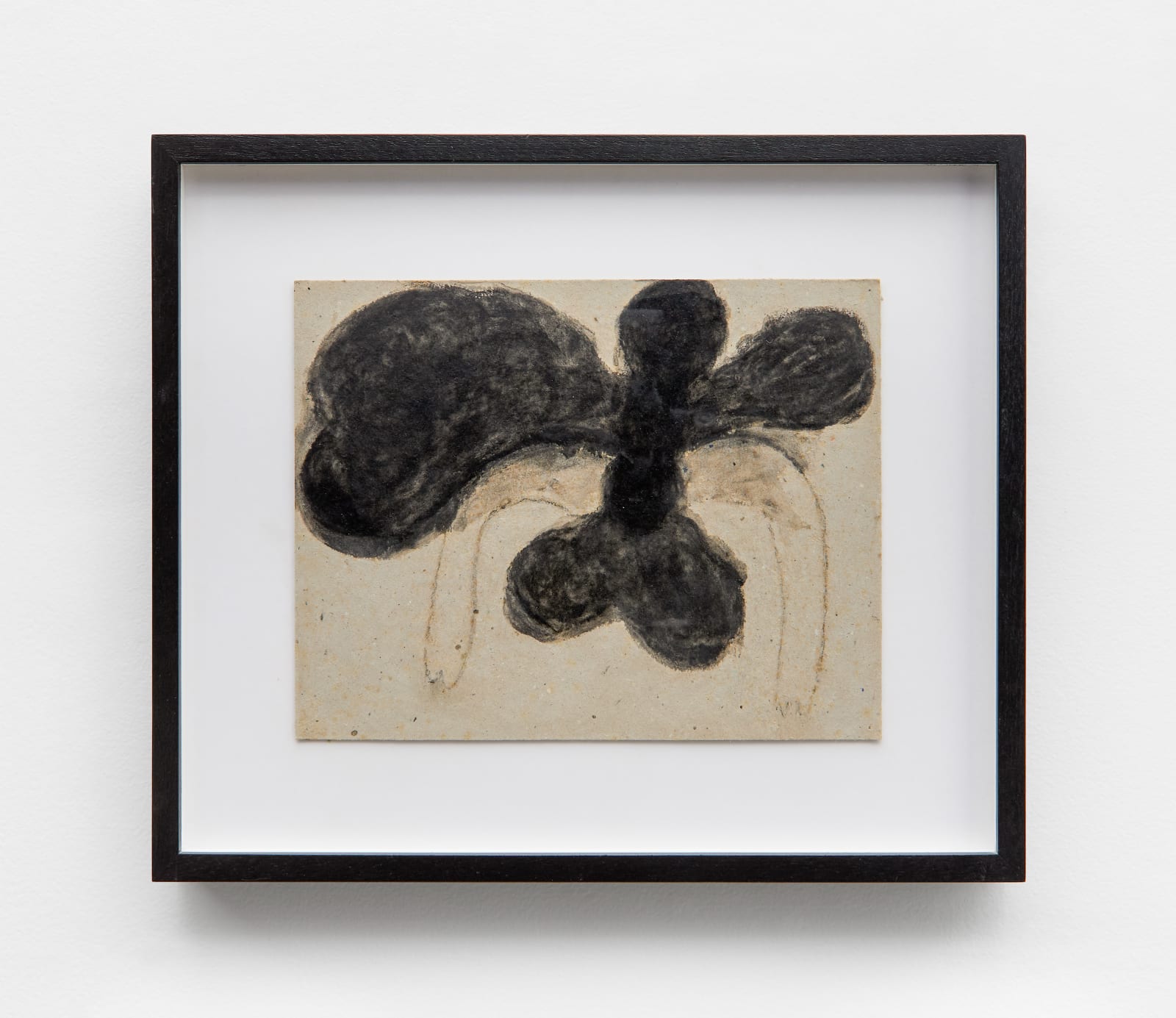 Solange Pessoa, Untitled | Sem título, 2009