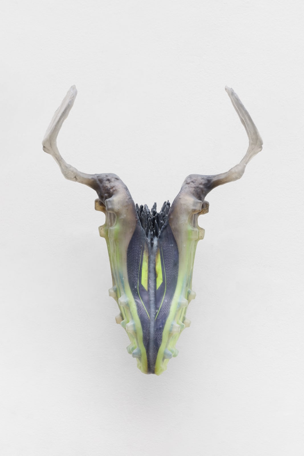 Adriano Amaral, Untitled | Sem título, 2025