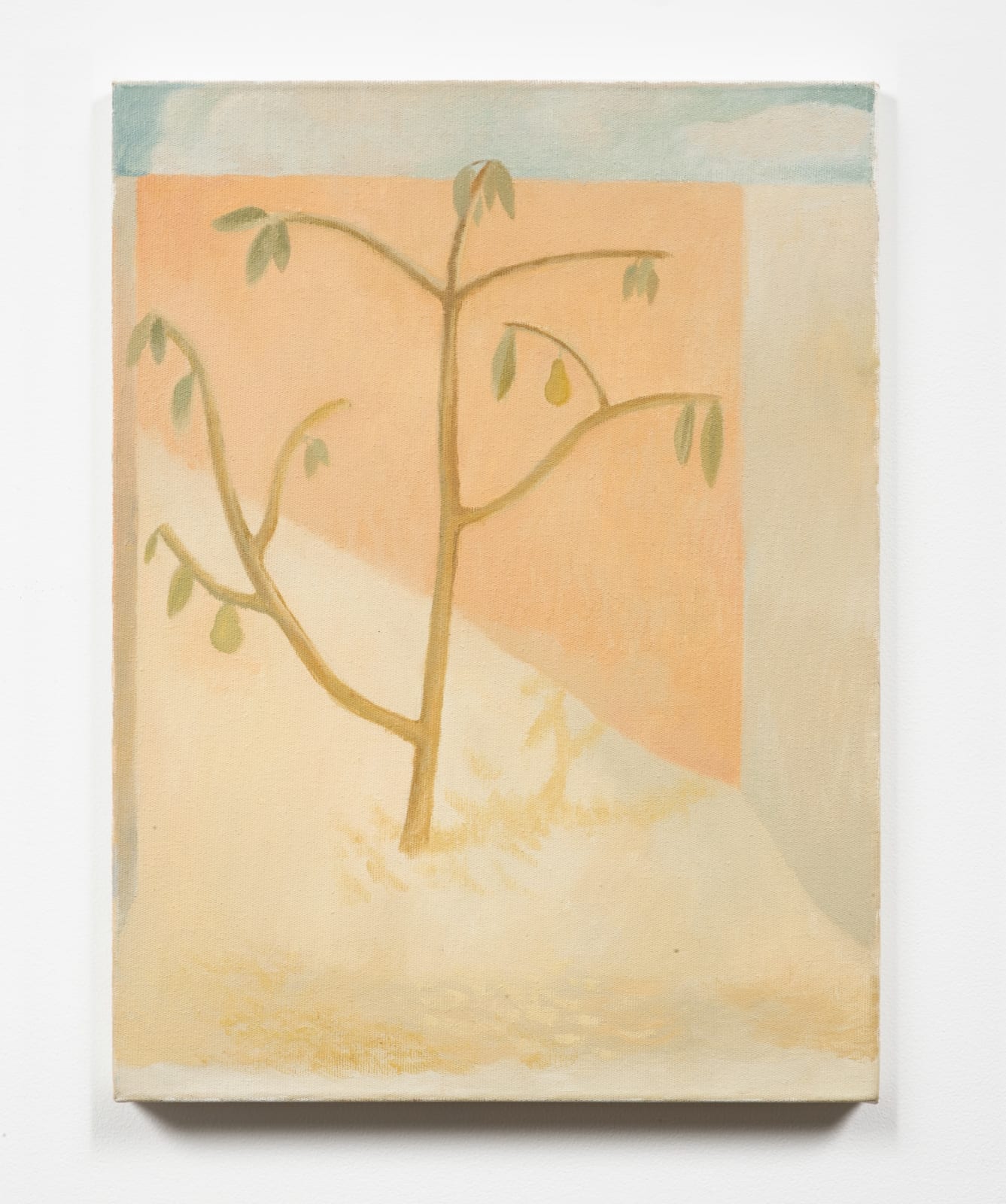 Paula Siebra, Quintal (Backyard), 2020