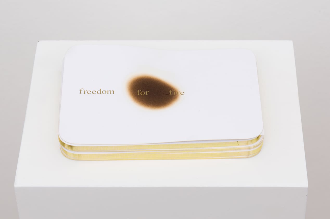 Runo Lagomarsino, Freedom for fire, 2013