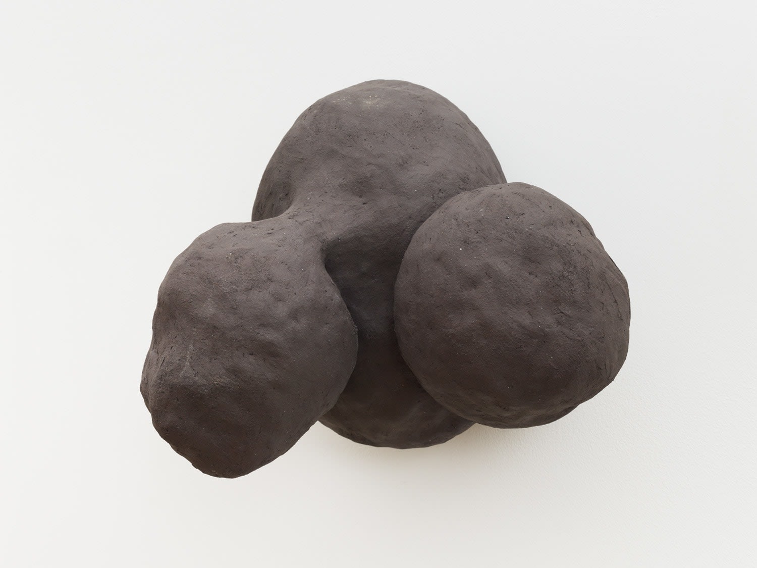 Solange Pessoa, Floraceas, 2019