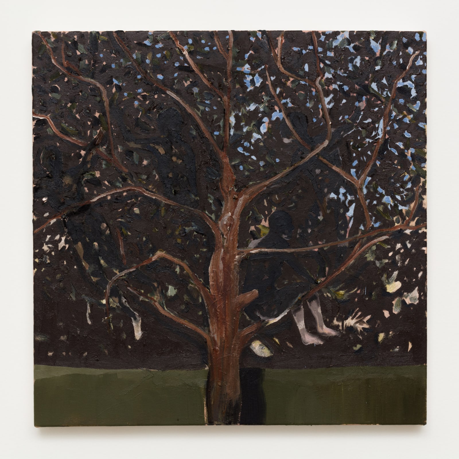 Antonio Obá, Strange Fruits - Goiabeira, 2019