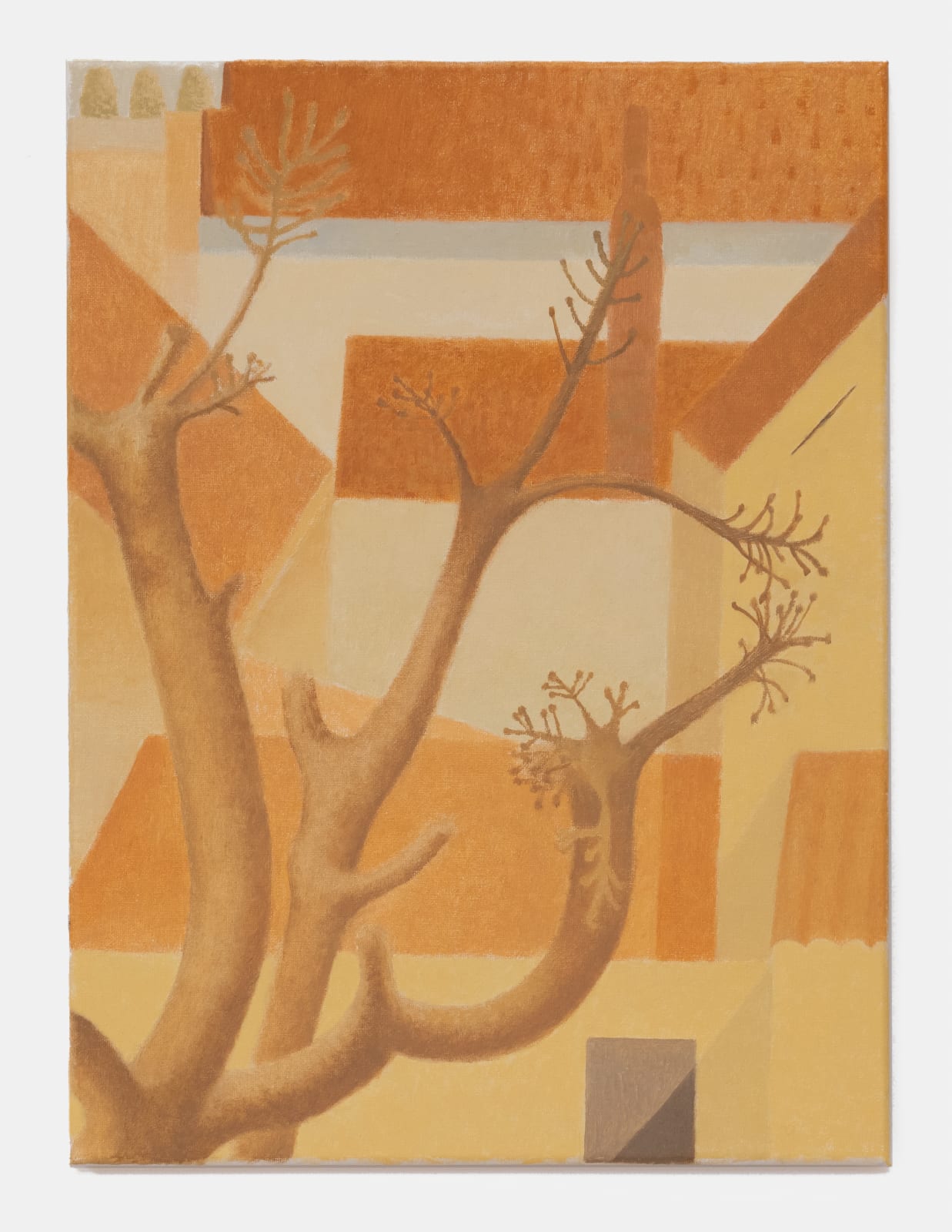 Paula Siebra, Vista do terraço, 2021