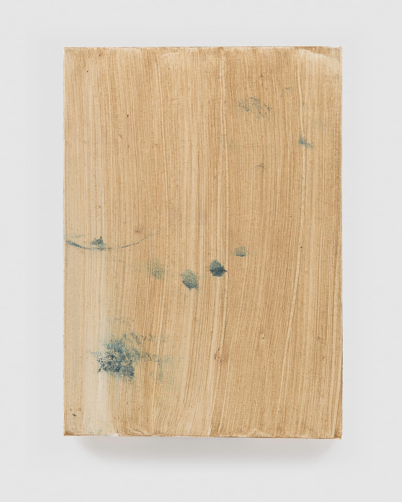 Peter Shear, Purr, 2024