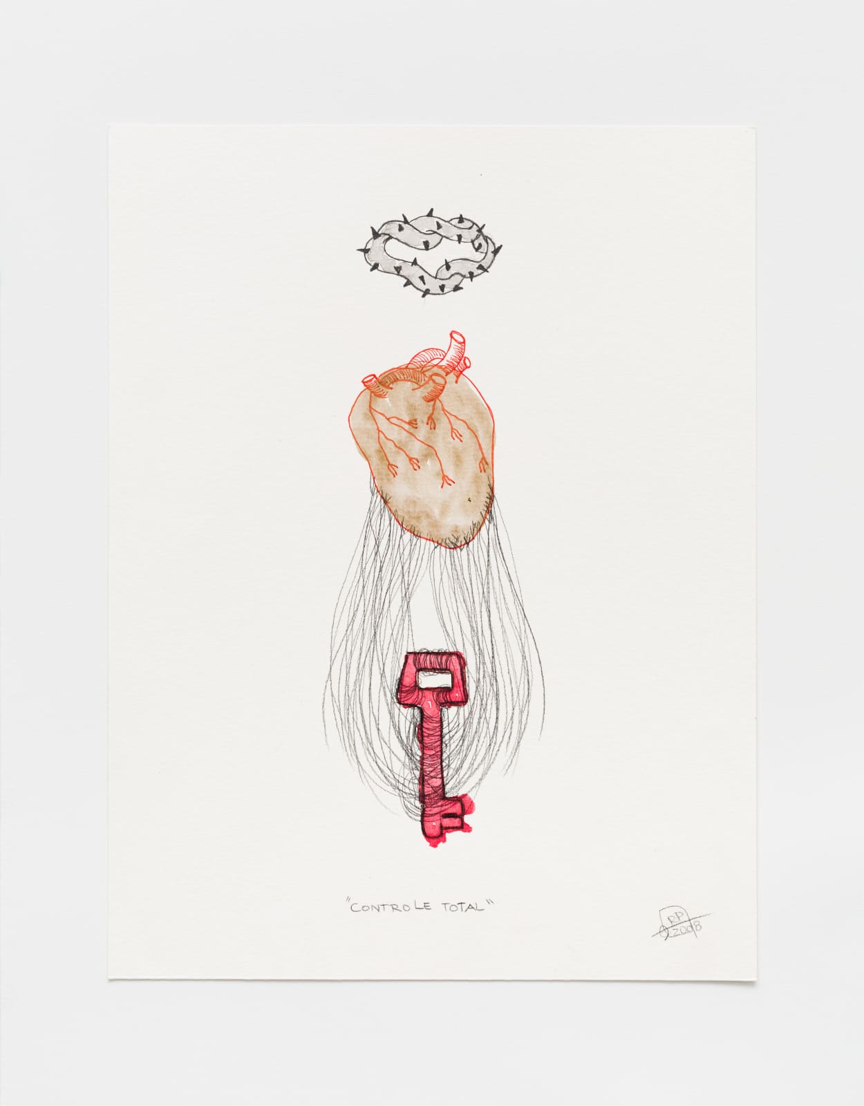 Rosana Paulino, Controle Total, 2008