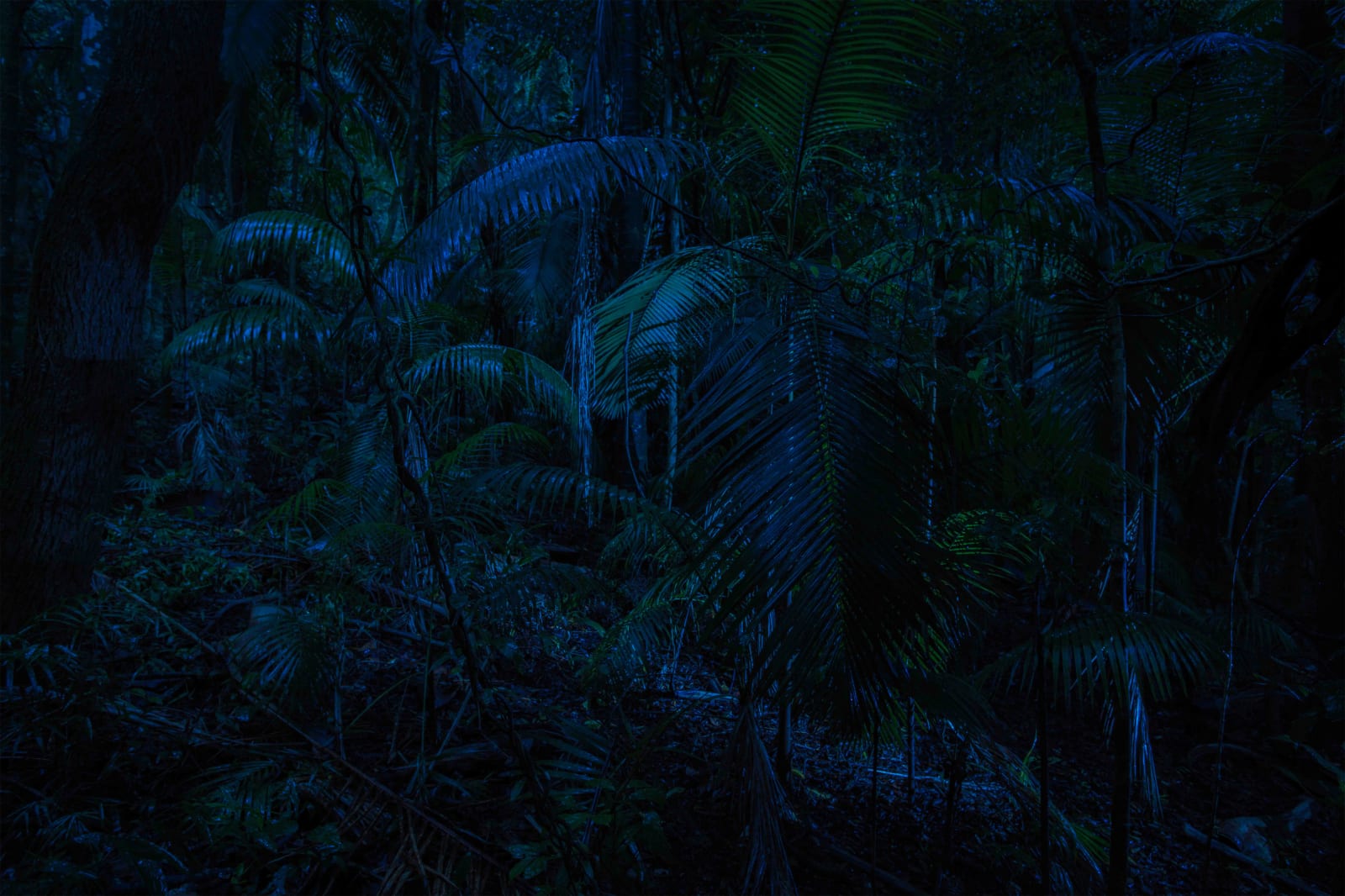 Maria Loboda, Day for night, 2014