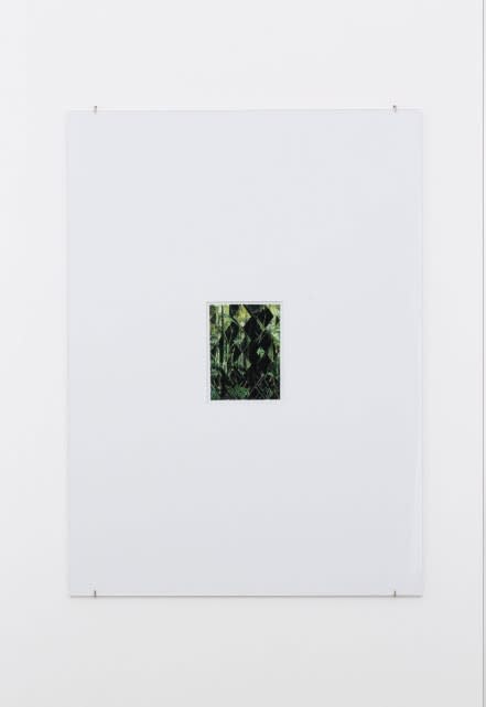 Daniel Steegmann Mangrané, Kiti Ka’aeté, 2009