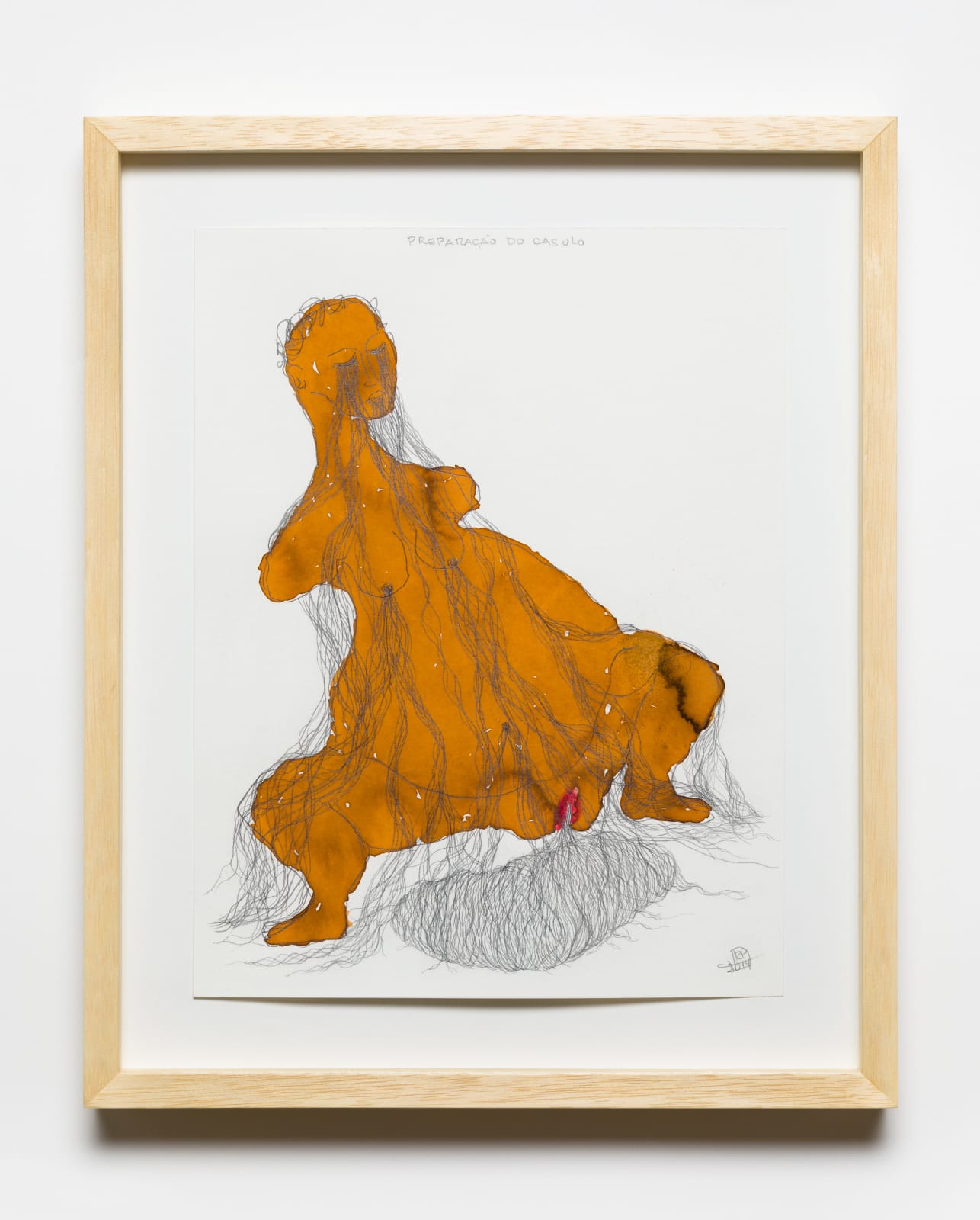 Rosana Paulino, Preparação do casulo , 2014