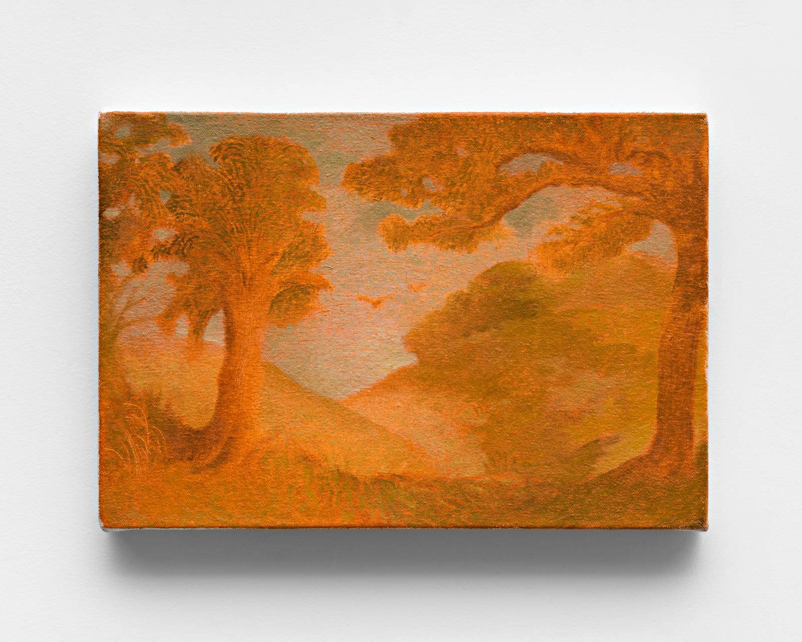 Paula Siebra, Bosque, 2023