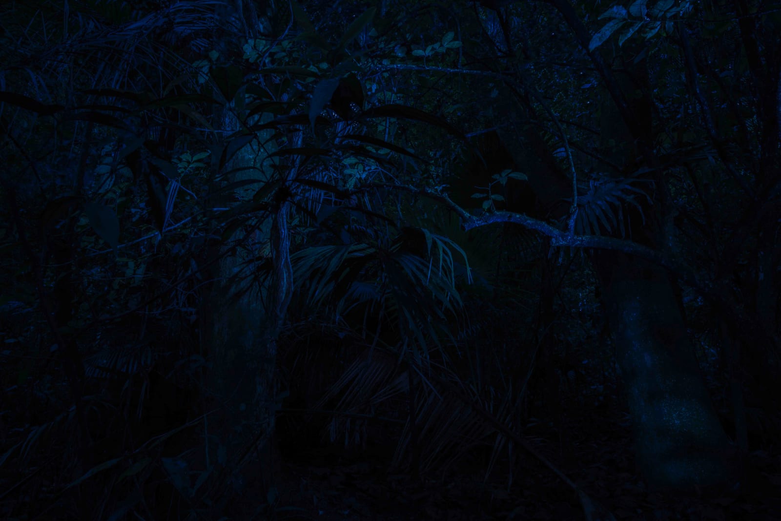 Maria Loboda, Day for night, 2014