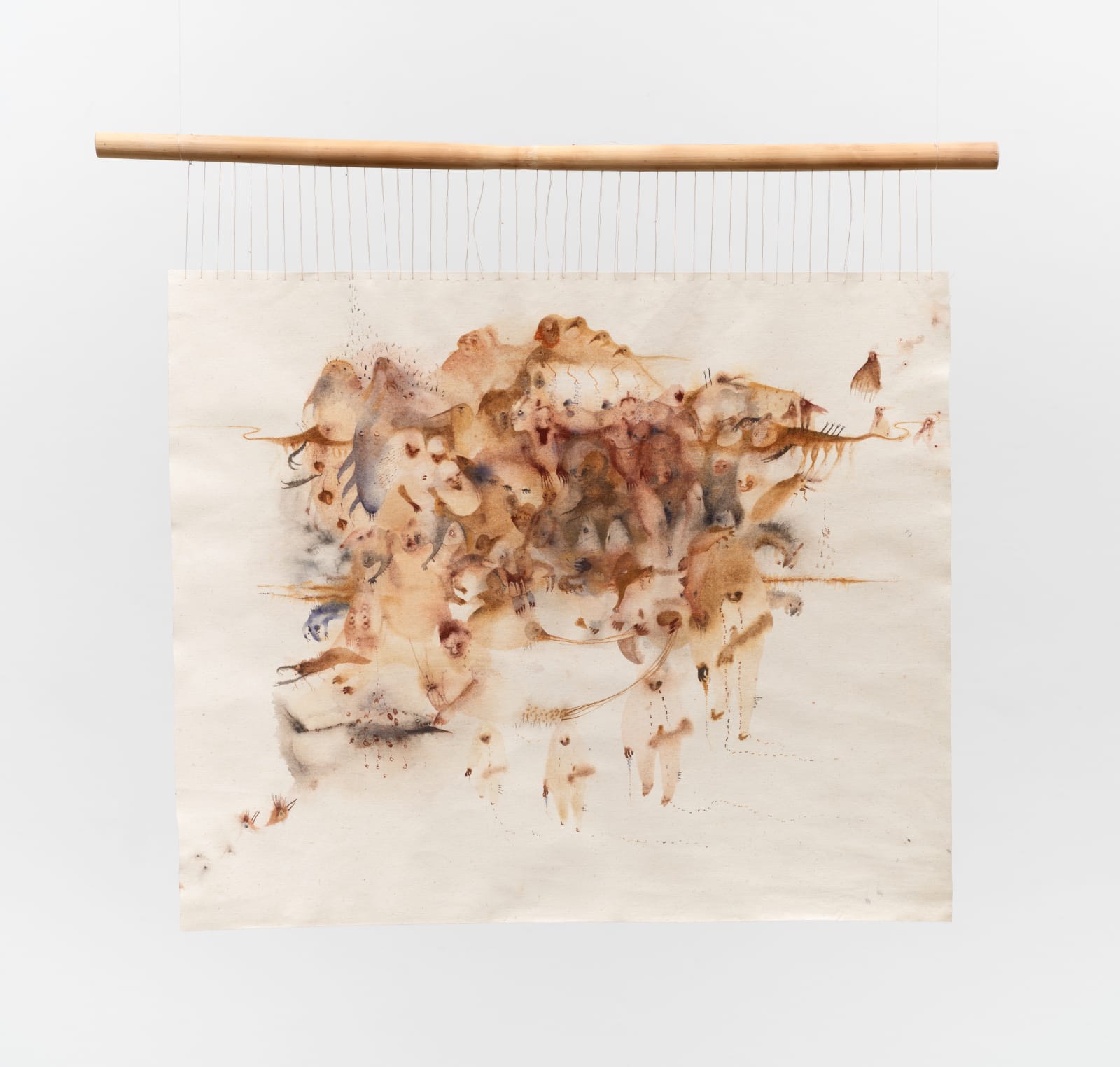 Josi, Luz de picão, 2024