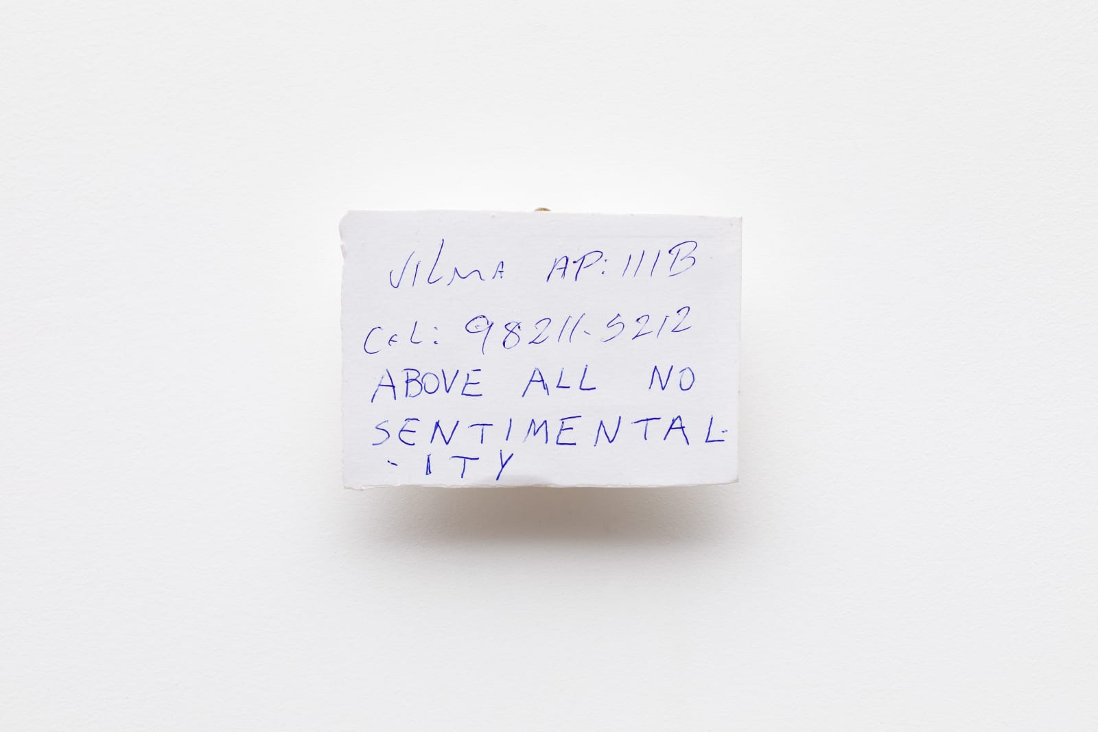 Adriano Costa, Above all no sentimentality, 2023