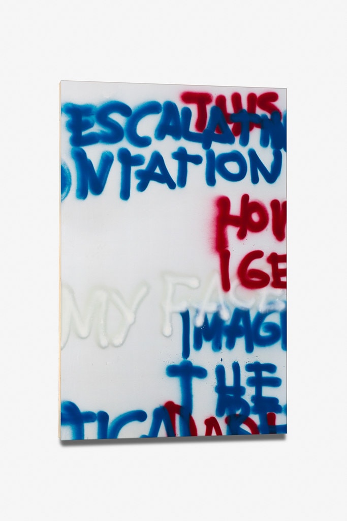 Stefan Bruggemann, How Do I Get Out ?, 2013