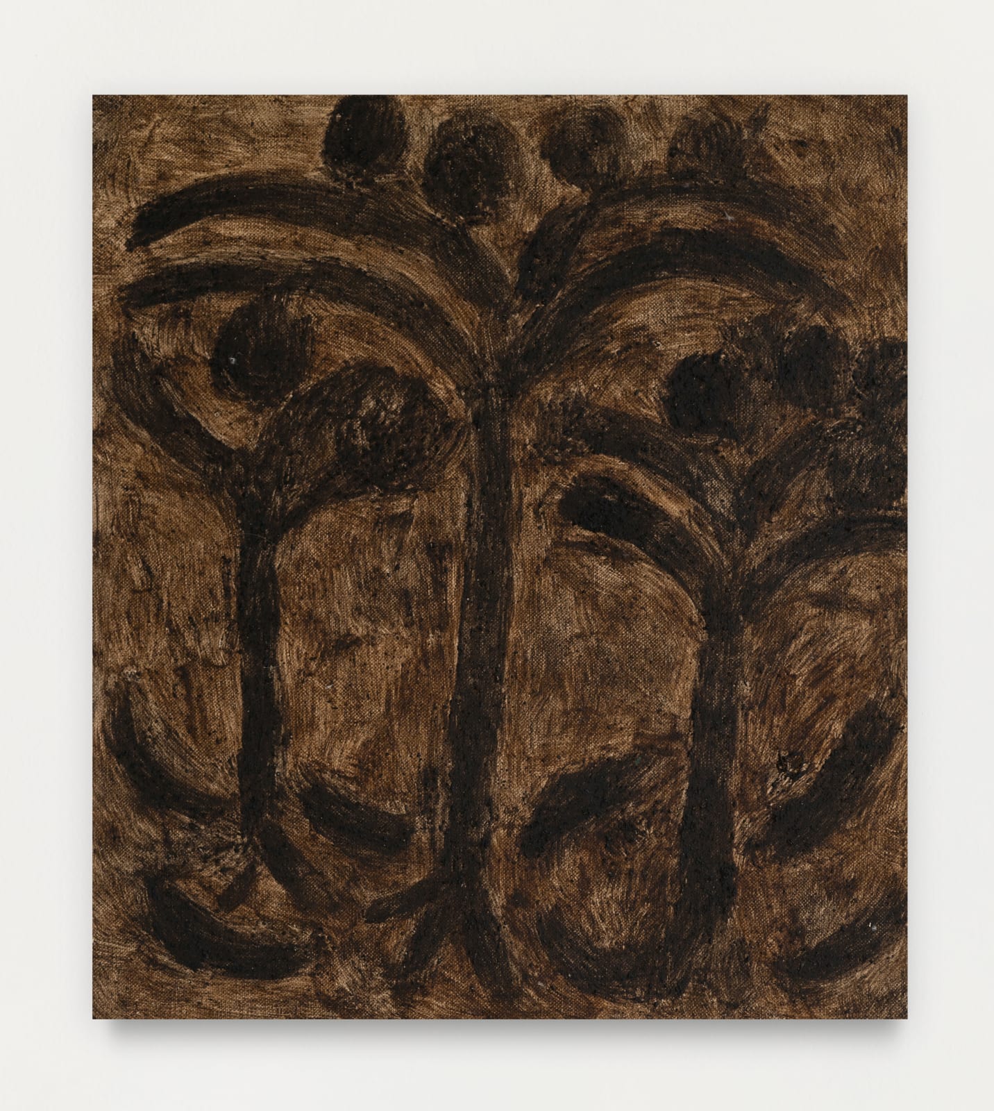 Solange Pessoa, Frugívoros, 2020-2021