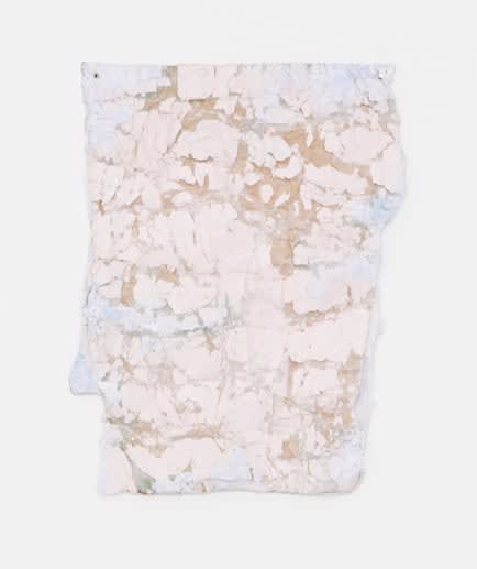 Adriano Amaral, Sem título, 2015