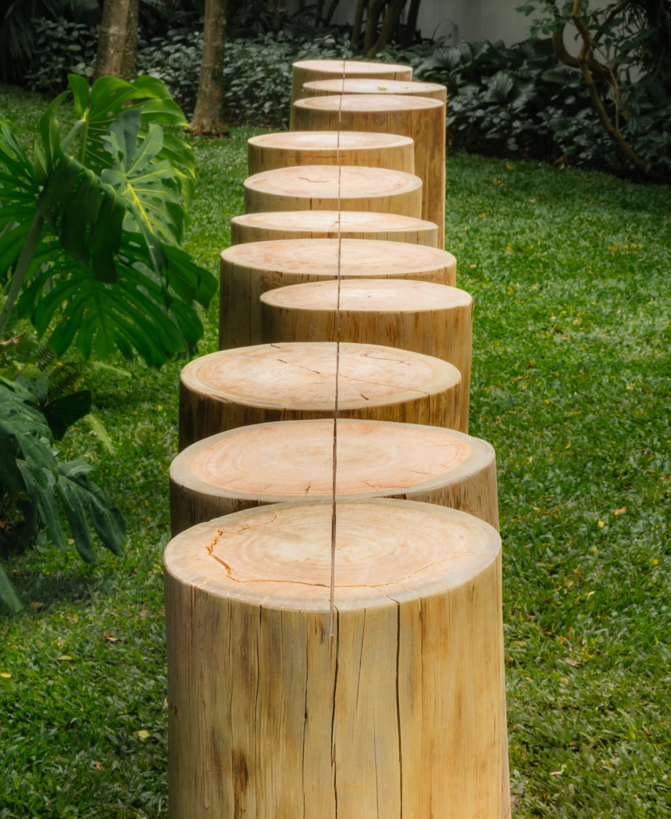 Kishio Suga, Law of Intervals and Voids, 2024