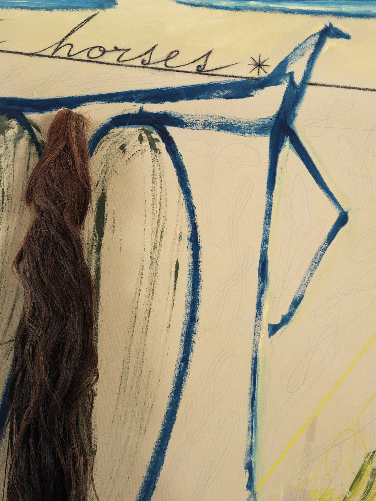 José Bedia, All The Pretty Horses, 2024