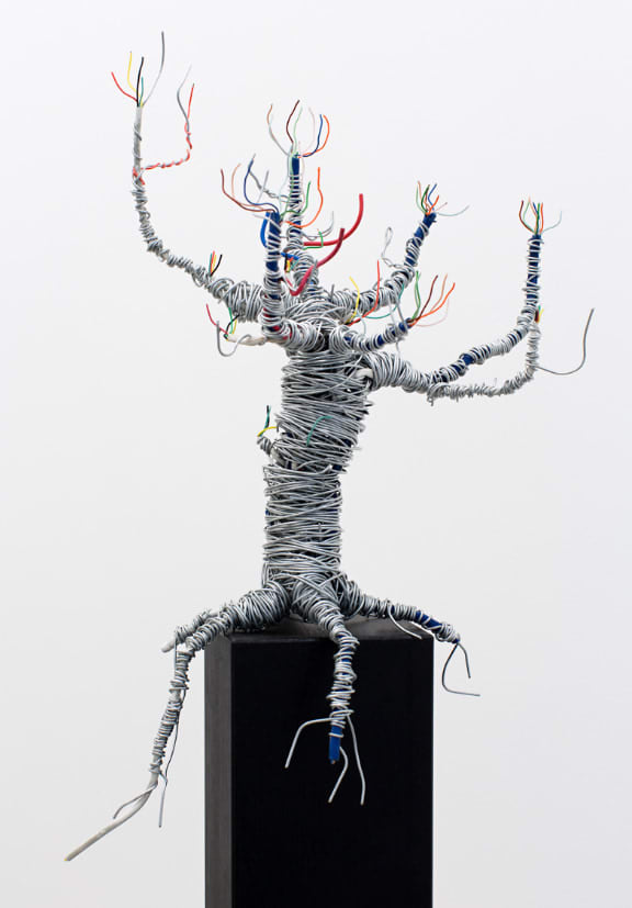 Pedro Wirz, der Baum, 2013