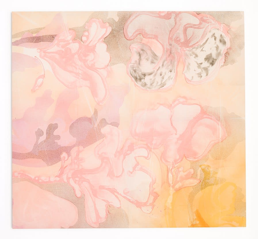 Matthew Lutz-Kinoy, Pink opening, 2017