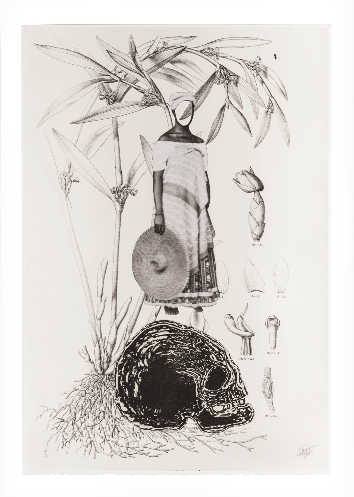 Rosana Paulino, Paraíso tropical, 2017