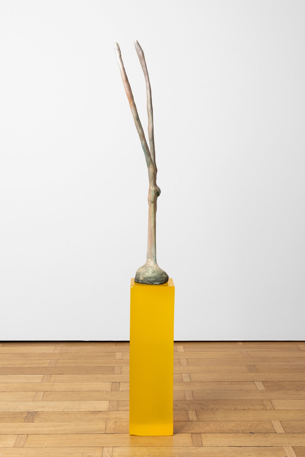 Paloma Bosquê, Two Headed Snake / Cobra de duas cabeças, 2022