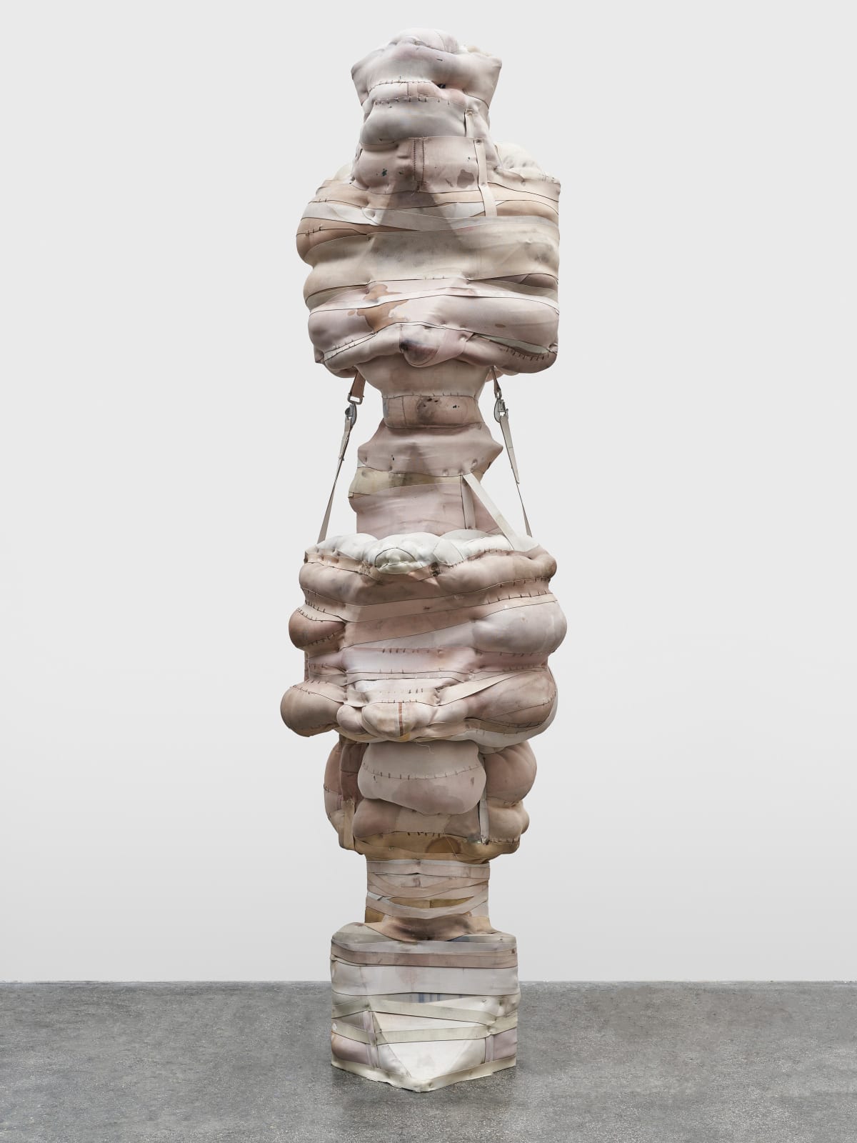 Patricia Ayres, 12-21-4-7-1-18-4-9-19, 2025