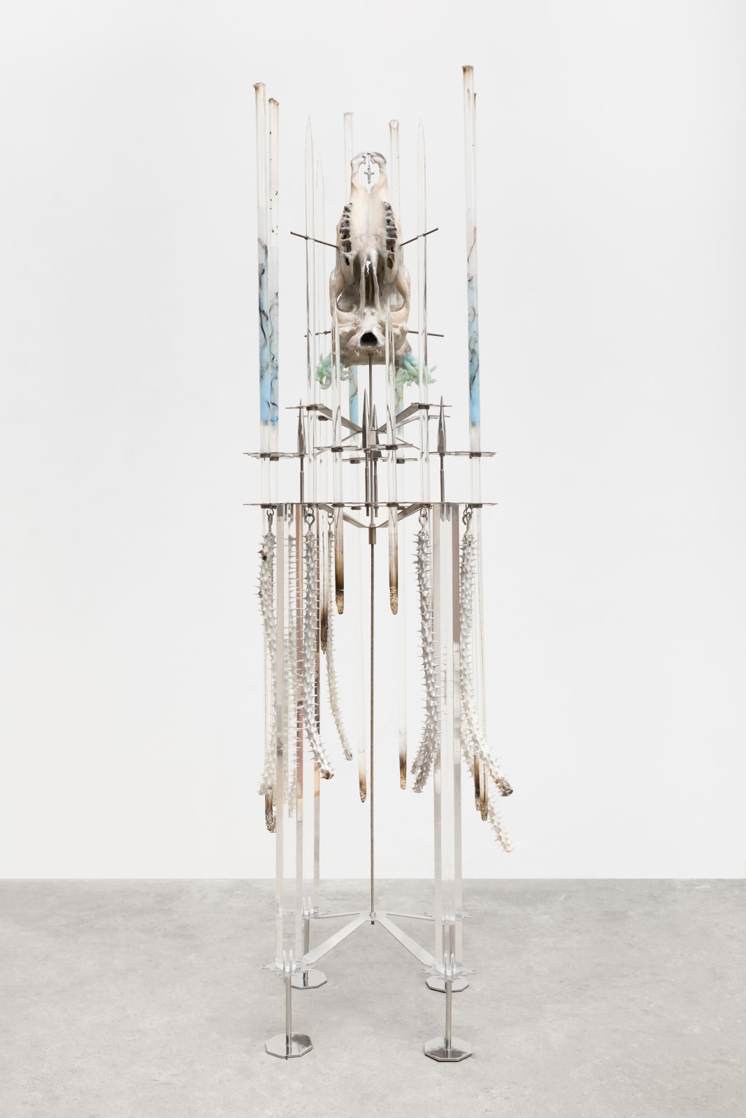 Adriano Amaral, Untitled | Sem título, 2025