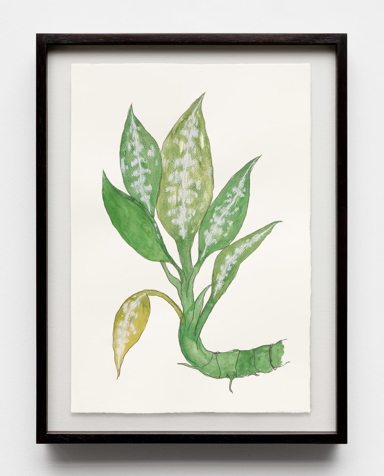 Rosana Paulino, Study for comigo ninguém pode | Estudos para comigo ninguém pode, 2024