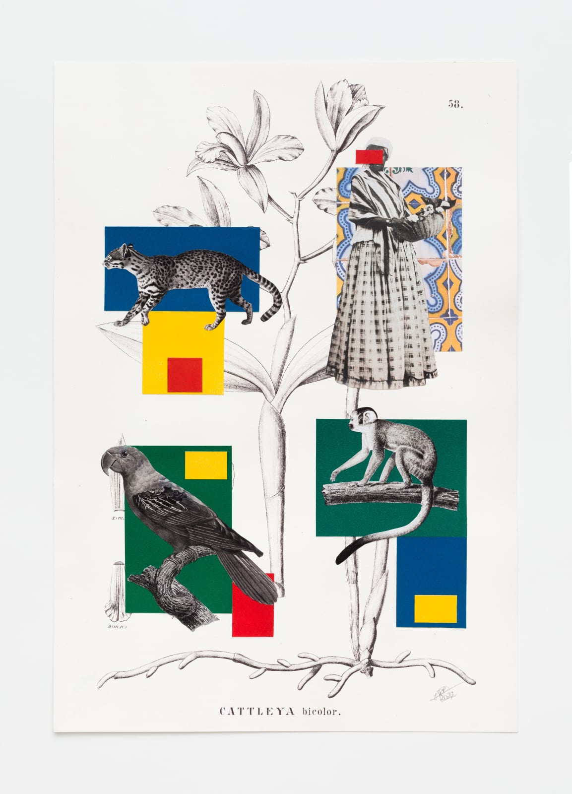 Rosana Paulino, A geometria à brasileira chega ao paraíso tropical, 2022