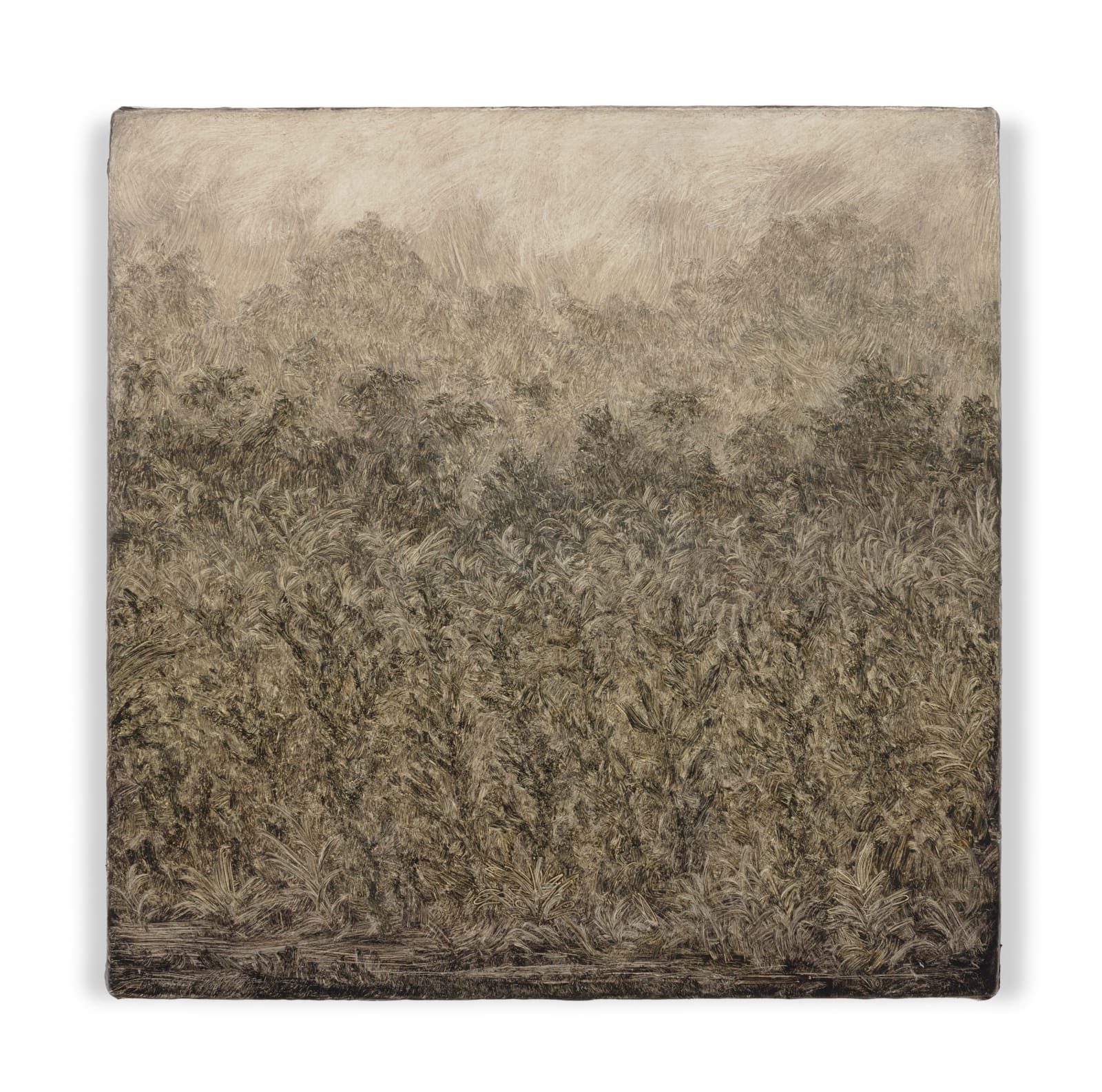 Lucas Arruda, Untitled (from the Deserto-Modelo series), 2022