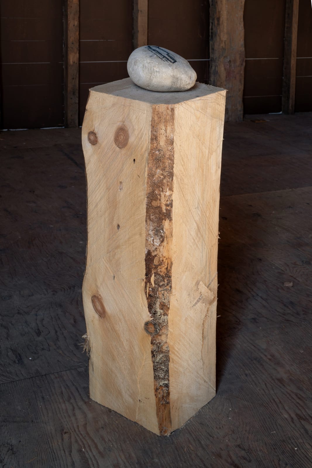 Paulo Nazareth, Jetsky, 2022