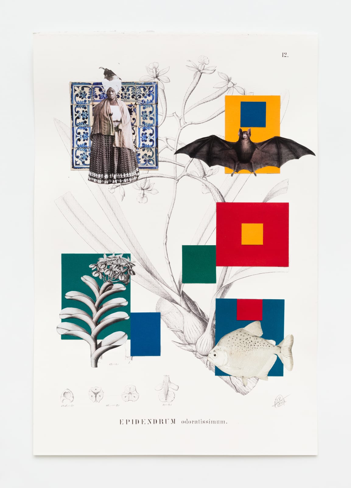 Rosana Paulino, A geometria à brasileira chega ao paraíso tropical, 2022