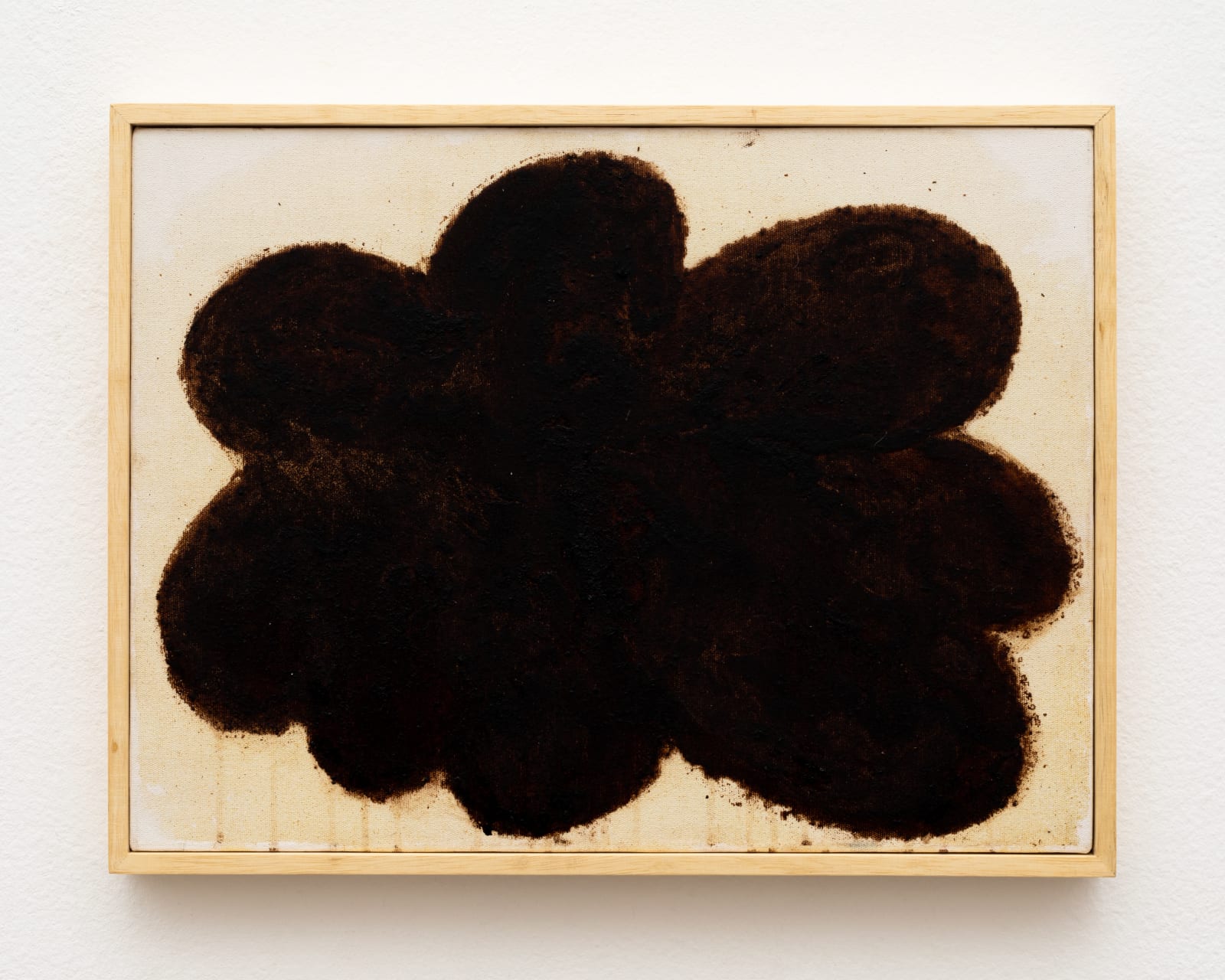 Solange Pessoa, Untitled, 2013 - 2017