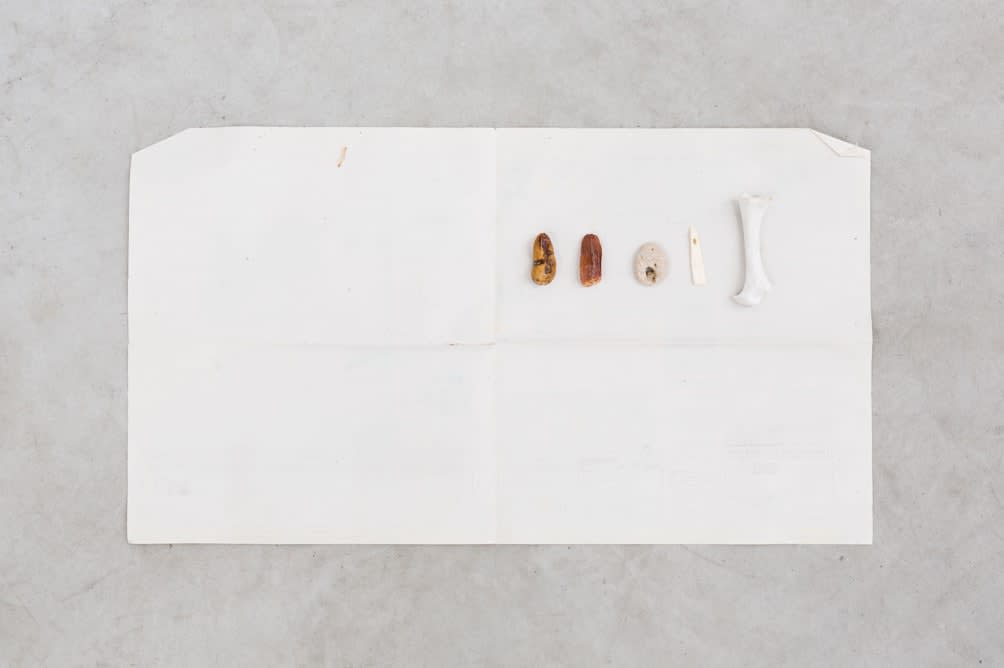 Paulo Nazareth, CA - Sem título, 2013-2014