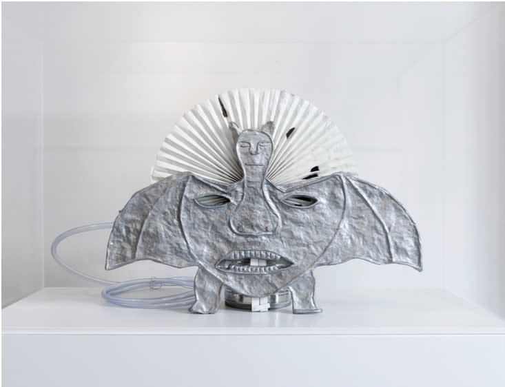 Rodrigo Hernández, Pierced cat (Gato furado), 2012