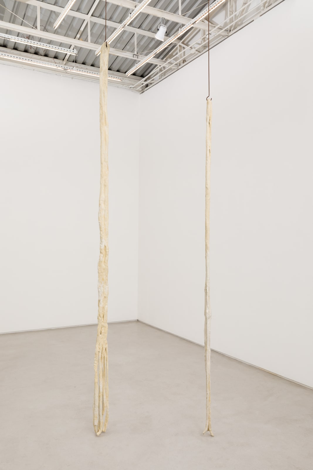 Paloma Bosquê, Sargaço | Seaweed, 2020