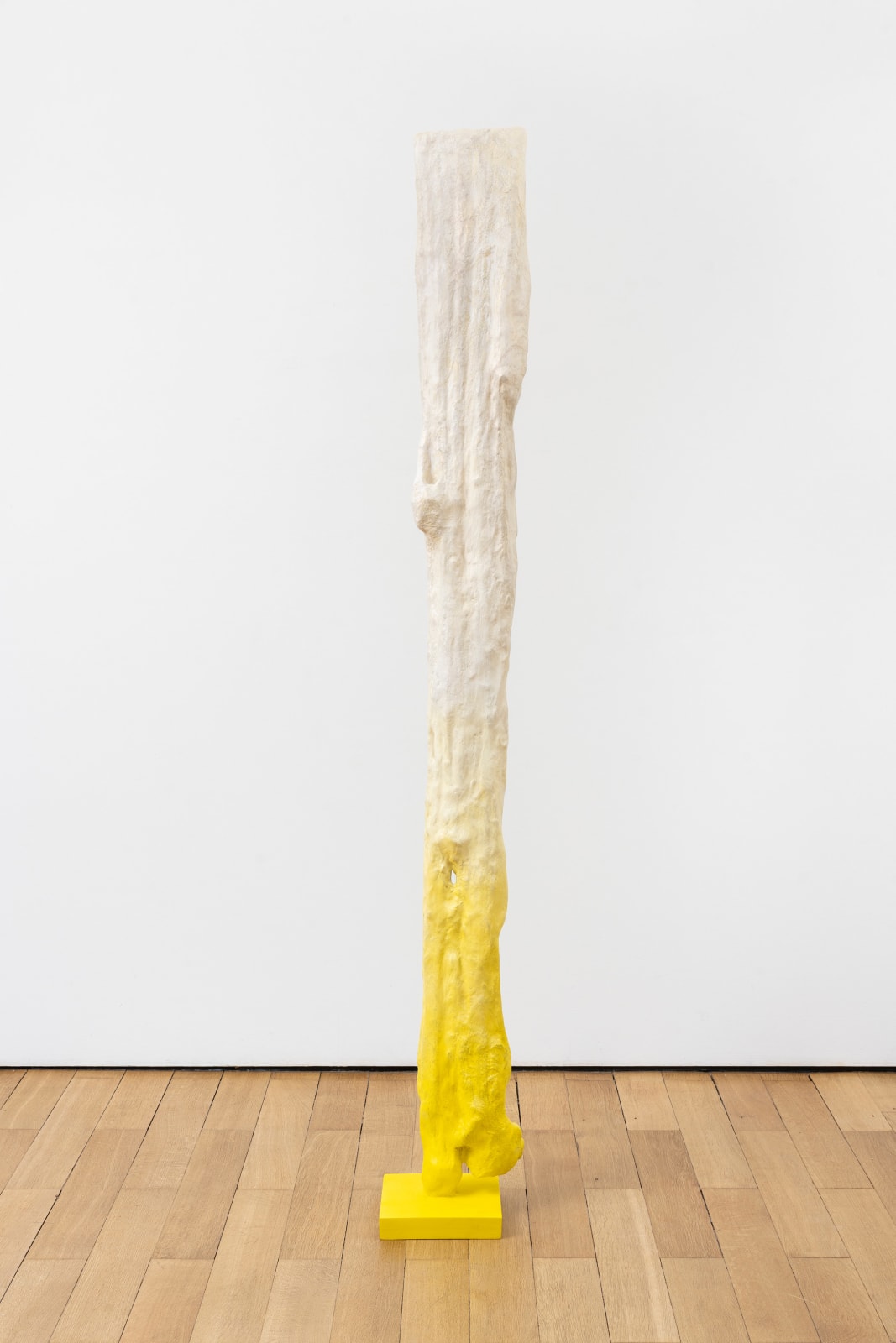 Paloma Bosquê, Fossil, 2022