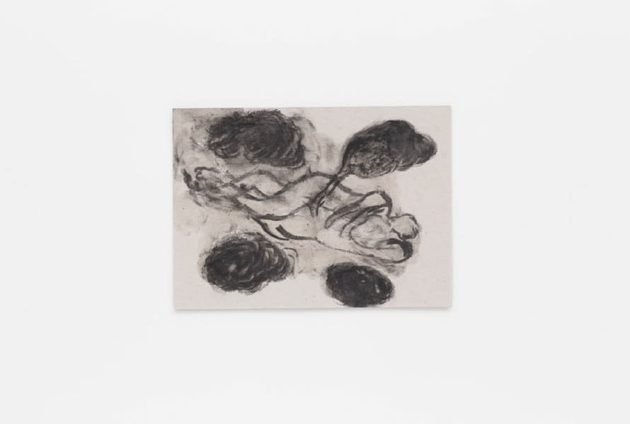 Solange Pessoa, Untitled | Sem título, 2009