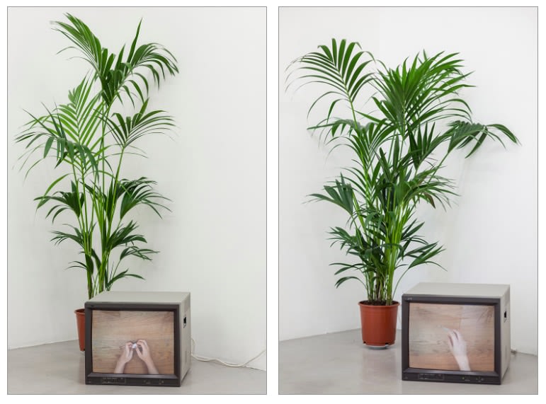 Meriç Algün Ringborg, Infinity and Eternity, 2013