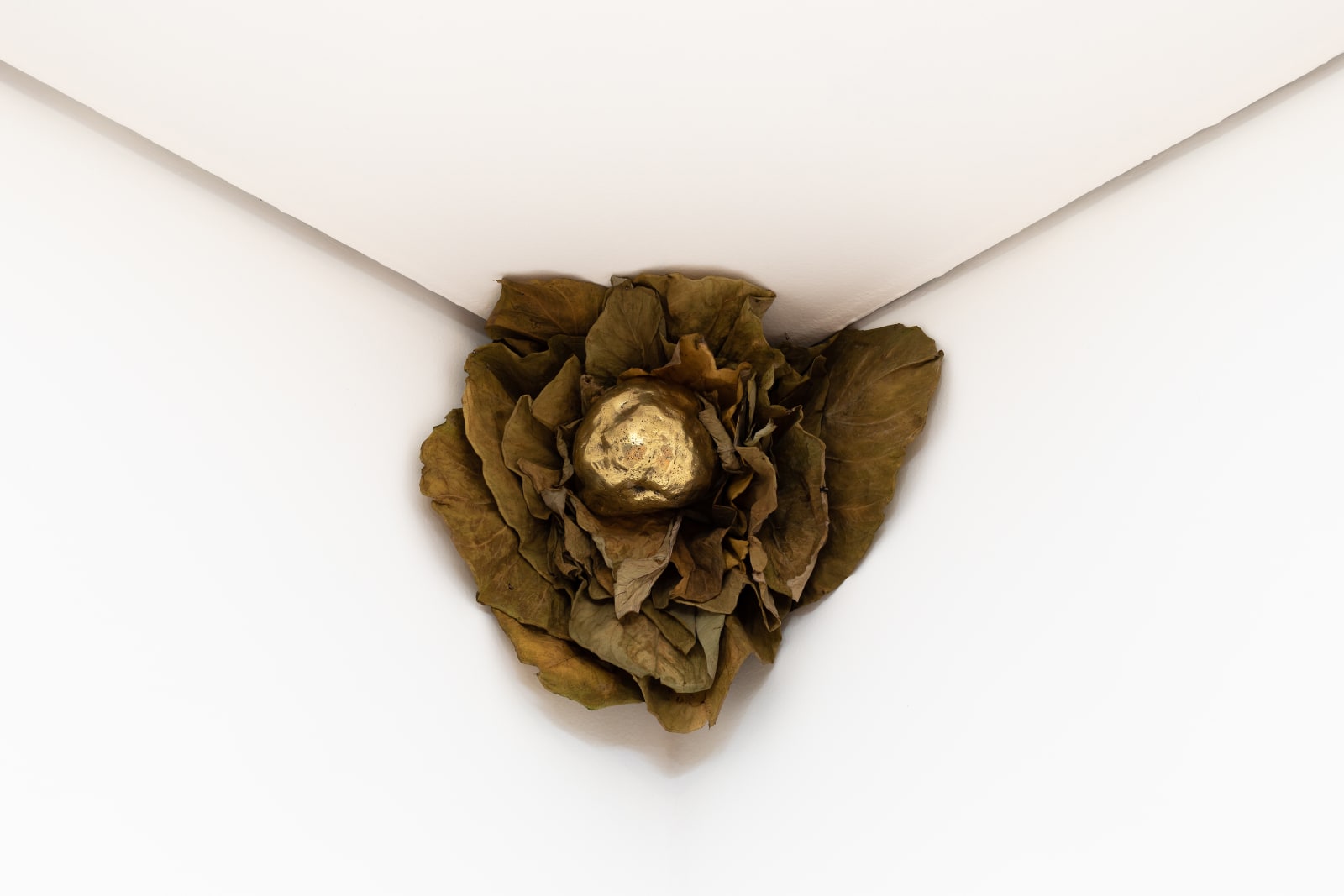 Solange Pessoa, Sem título, 1999