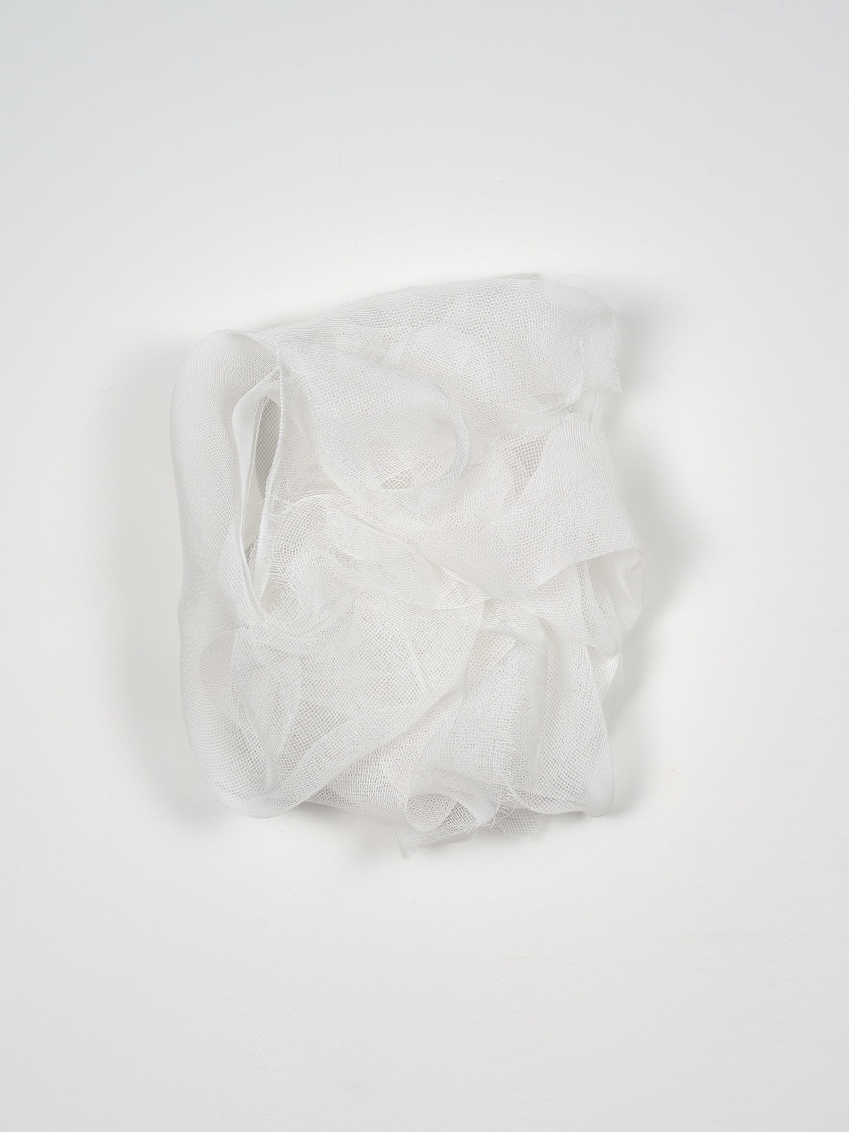 Adriano Costa, Rosa Branca, 2023