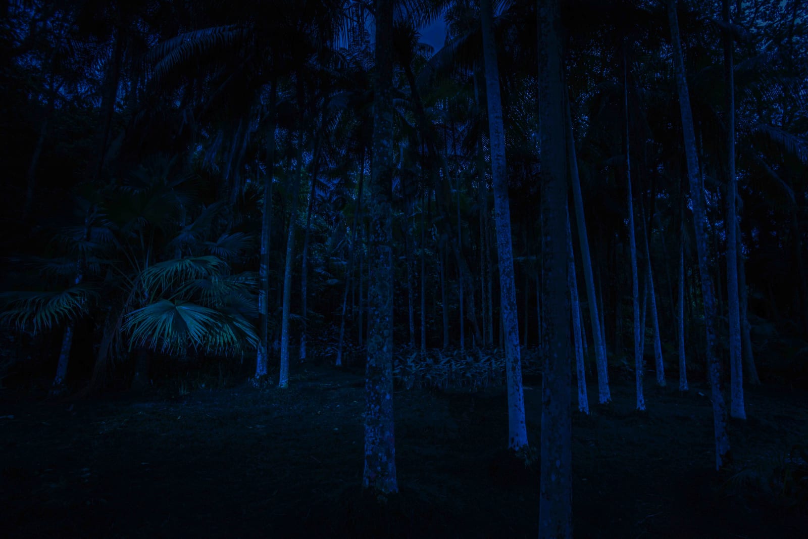 Maria Loboda, Day for night, 2014